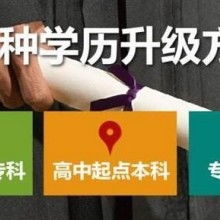 成都市金牌思維教育咨詢有限責任公司 專業教育咨詢，點亮成長之路